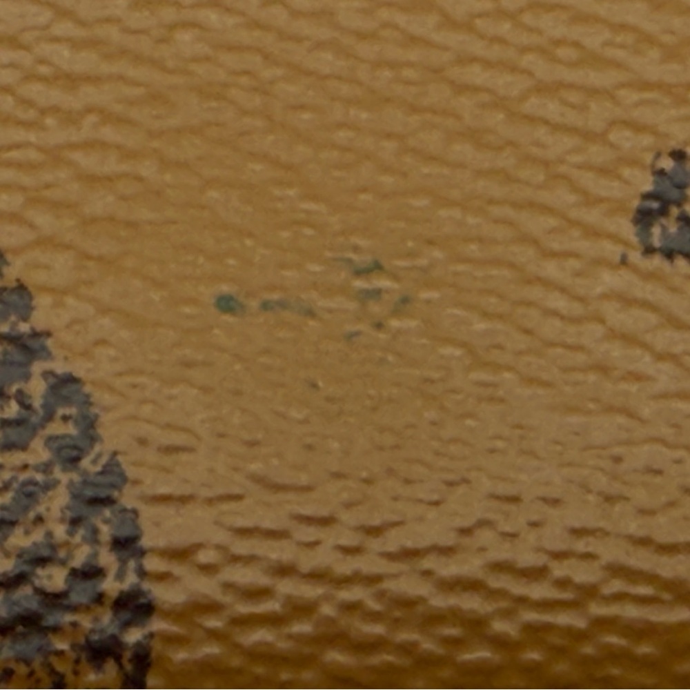 Louis Vuitton Reverse Giant Double Zip Pochette - Picture 3 of 16